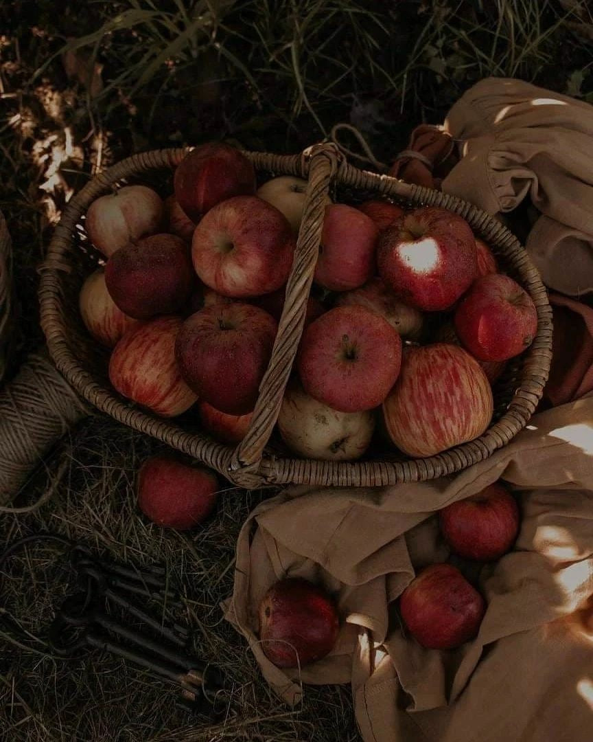 Apple Bourbon Body Lotion