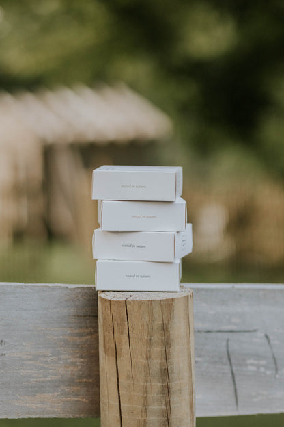 Cedar + Pine