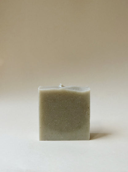Cedar + Pine